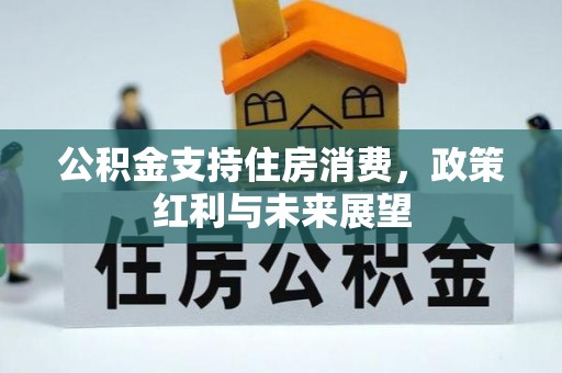 乐都公积金支持住房消费，政策红利与未来展望