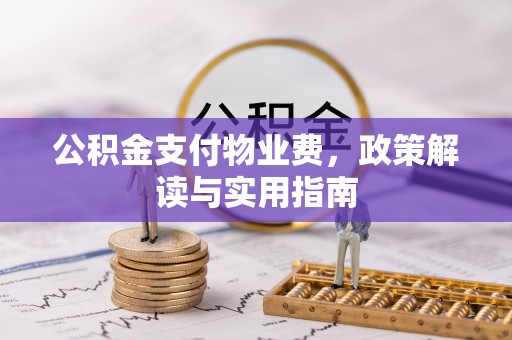 乐都公积金支付物业费，政策解读与实用指南