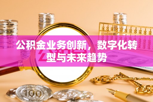 乐都公积金业务创新，数字化转型与未来趋势