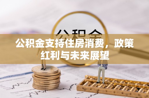 乐都公积金支持住房消费，政策红利与未来展望