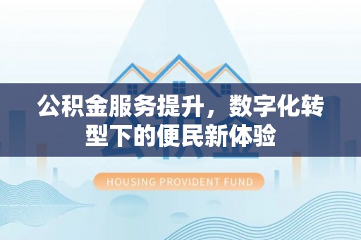 乐都公积金服务提升，数字化转型下的便民新体验