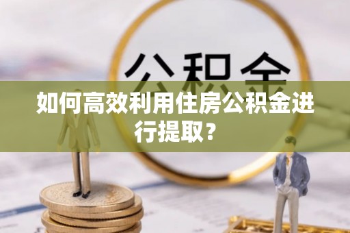 乐都如何高效利用住房公积金进行提取？