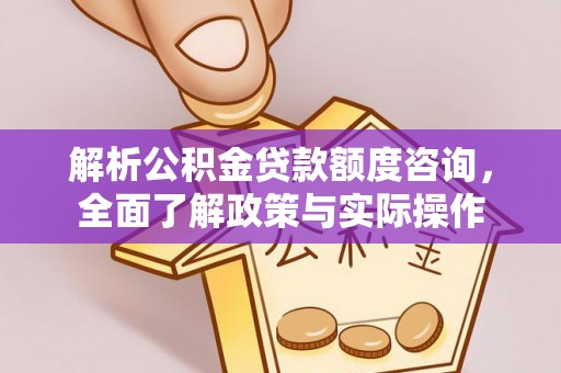 乐都解析公积金贷款额度咨询，全面了解政策与实际操作