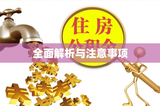 乐都全面解析与注意事项