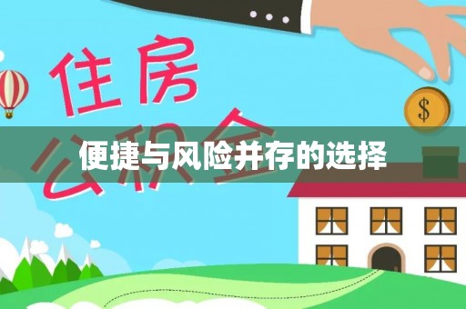 乐都便捷与风险并存的选择