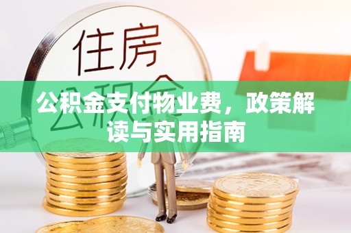 乐都公积金支付物业费，政策解读与实用指南