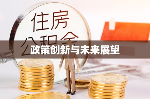 乐都政策创新与未来展望