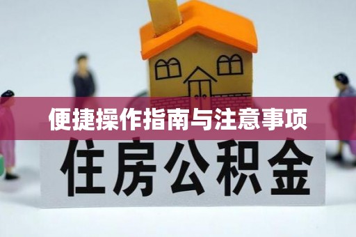 乐都便捷操作指南与注意事项