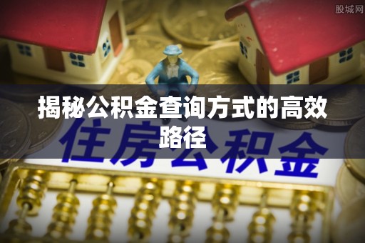 乐都揭秘公积金查询方式的高效路径