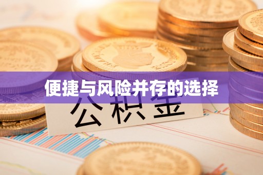 乐都便捷与风险并存的选择