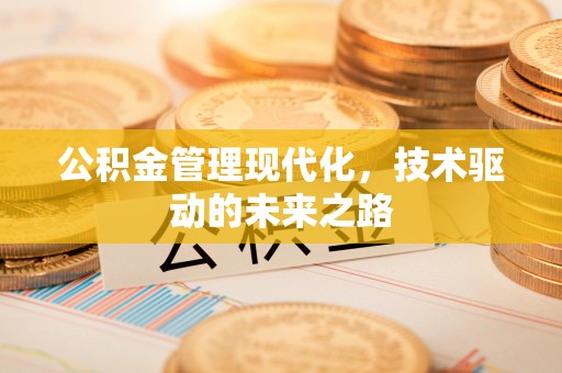 乐都公积金管理现代化，技术驱动的未来之路